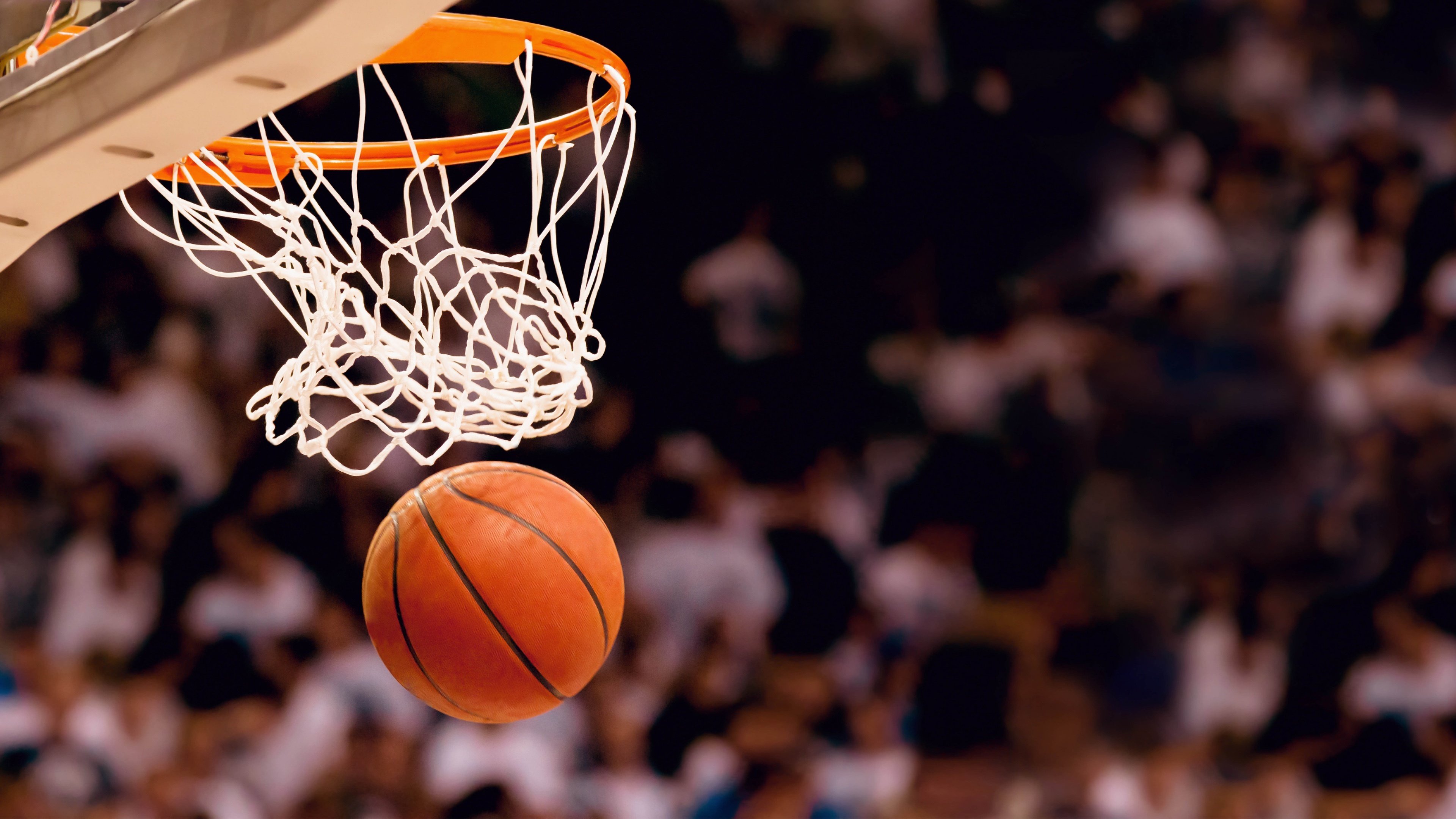 意外执教NBA,我靠卧底系统杀疯了